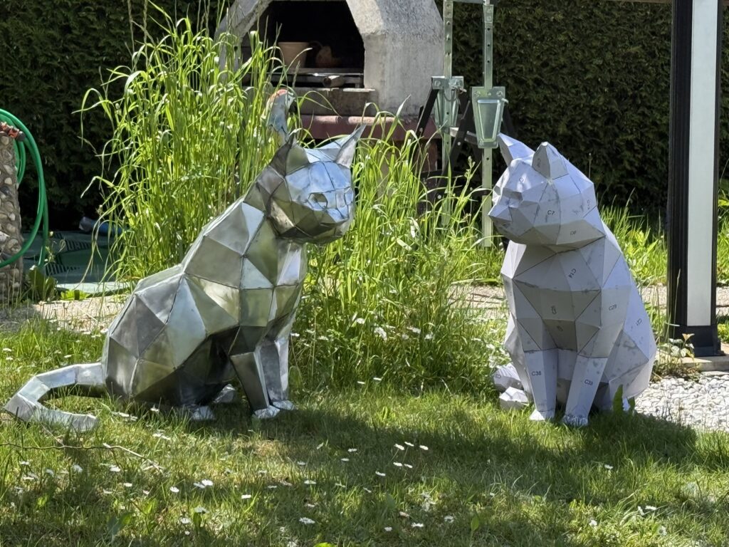img 3886