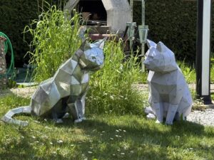 img 3886